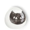 MIYA Company Plates | Black Cat 5-1/2" Plate