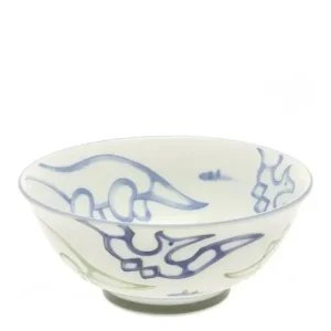 MIYA Company Bowls | Bowl Jurassic Dinos Ramen