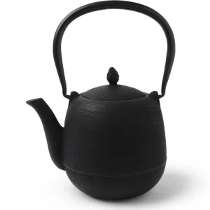 MIYA Company Teapots - Cast Iron | Cast Iron Teapot Black Jujube 0.9L