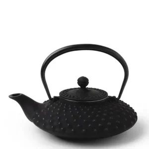 MIYA Company Teapots - Cast Iron | Cast Iron Teapot Flat Hailstone 0.5L