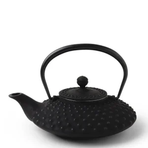MIYA Company Teapots - Cast Iron | Cast Iron Teapot Flat Hailstone 0.5L
