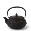 MIYA Company Teapots - Cast Iron | Cast Iron Teapot 0.65L