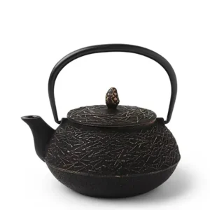 MIYA Company Teapots - Cast Iron | Cast Iron Teapot 0.65L