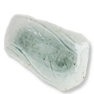 MIYA Company Large Plates | Coral Blue Rectangular Plate