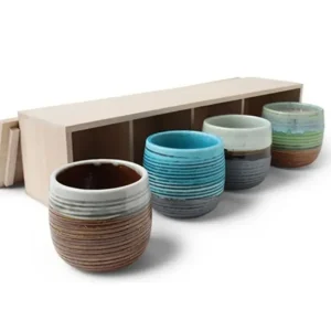 MIYA Company Cup/Mug Sets | Haruto 8 Oz. Teacup Set