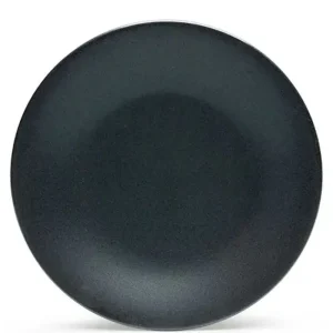 MIYA Company Large Plates | Iron Glaze 11" Dinner Plate