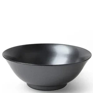 MIYA Company Medium Bowls | Iron Glaze 7.75" Noodle Bowl