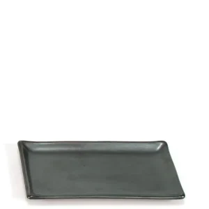 MIYA Company Medium Plates | Iron Glaze 8.75