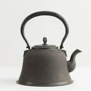 MIYA Company Teapots - Cast Iron | Iwachu Kettle Tetsubin Arare Kiyomo