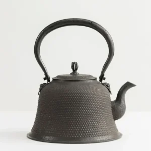 MIYA Company Teapots - Cast Iron | Iwachu Kettle Tetsubin Arare Kiyomo
