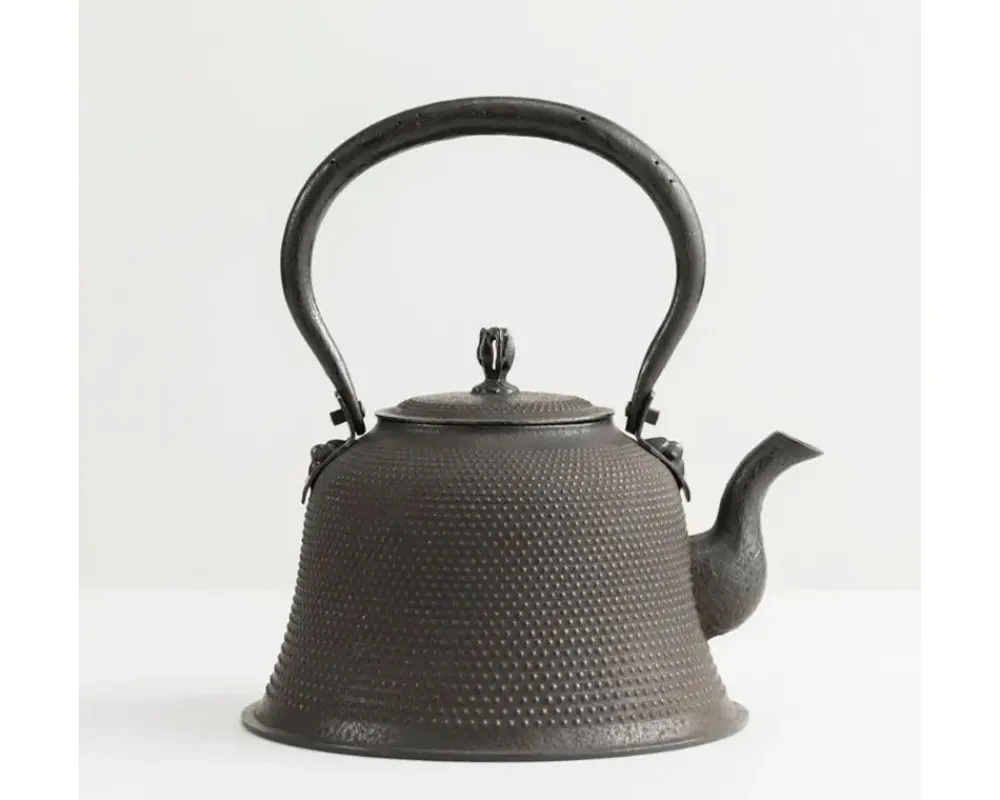 iwachu_kettle_tetsubin_arare_kiyomo_1.webp MIYA Company Teapots - Cast Iron | Iwachu Kettle Tetsubin Arare Kiyomo