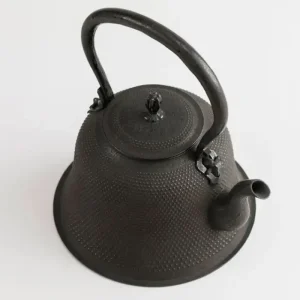 MIYA Company Teapots - Cast Iron | Iwachu Kettle Tetsubin Arare Kiyomo