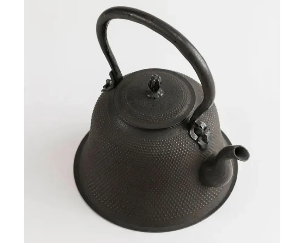 iwachu_kettle_tetsubin_arare_kiyomo_2.webp MIYA Company Teapots - Cast Iron | Iwachu Kettle Tetsubin Arare Kiyomo
