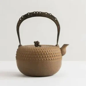MIYA Company Teapots - Cast Iron | Iwachu Kettle Tetsubin Gravel Turtleshell Brown