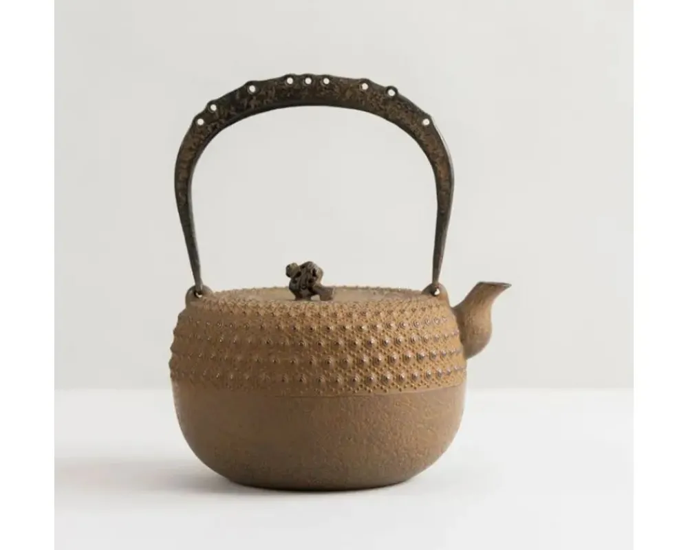 iwachu_kettle_tetsubin_gravel_turtleshell_brown_1.webp MIYA Company Teapots - Cast Iron | Iwachu Kettle Tetsubin Gravel Turtleshell Brown