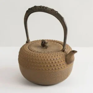MIYA Company Teapots - Cast Iron | Iwachu Kettle Tetsubin Gravel Turtleshell Brown