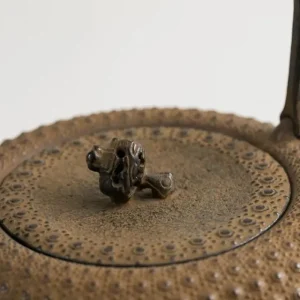MIYA Company Teapots - Cast Iron | Iwachu Kettle Tetsubin Gravel Turtleshell Brown