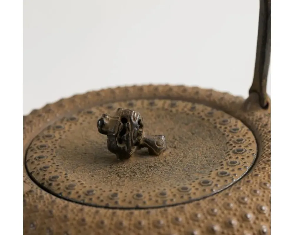 iwachu_kettle_tetsubin_gravel_turtleshell_brown_3.webp MIYA Company Teapots - Cast Iron | Iwachu Kettle Tetsubin Gravel Turtleshell Brown