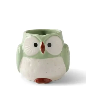 MIYA Company Cups/Mugs | Mug Owl Green