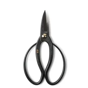 MIYA Company Ikebana | Shears Iron Bairyu Bonsai 180Mm