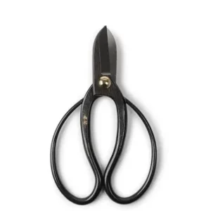 MIYA Company Ikebana | Shears Iron Bairyu Bonsai 165Mm