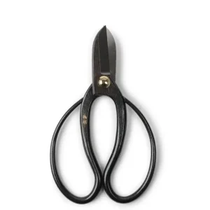 MIYA Company Ikebana | Shears Iron Bairyu Bonsai 165Mm