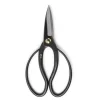 MIYA Company Ikebana | Shears Iron Suiryu Bonsai 200Mm