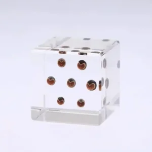 MIYA Company Desk Accessories | Sola Cube Balloon Plant