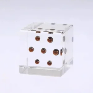 MIYA Company Desk Accessories | Sola Cube Balloon Plant