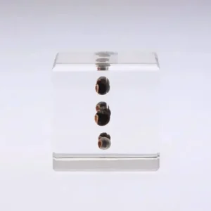 MIYA Company Desk Accessories | Sola Cube Balloon Plant