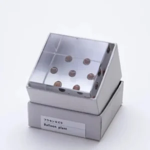 MIYA Company Desk Accessories | Sola Cube Balloon Plant