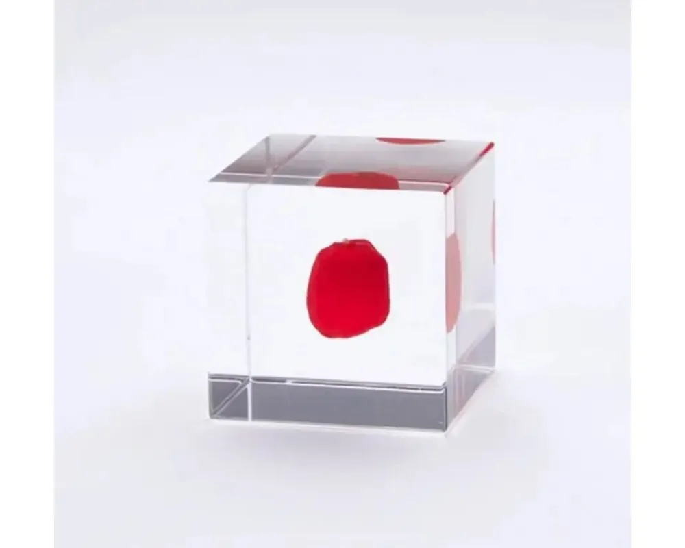 sola_cube_huayruro_seed_1.webp MIYA Company Desk Accessories | Sola Cube Huayruro Seed