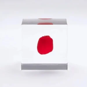 MIYA Company Desk Accessories | Sola Cube Huayruro Seed