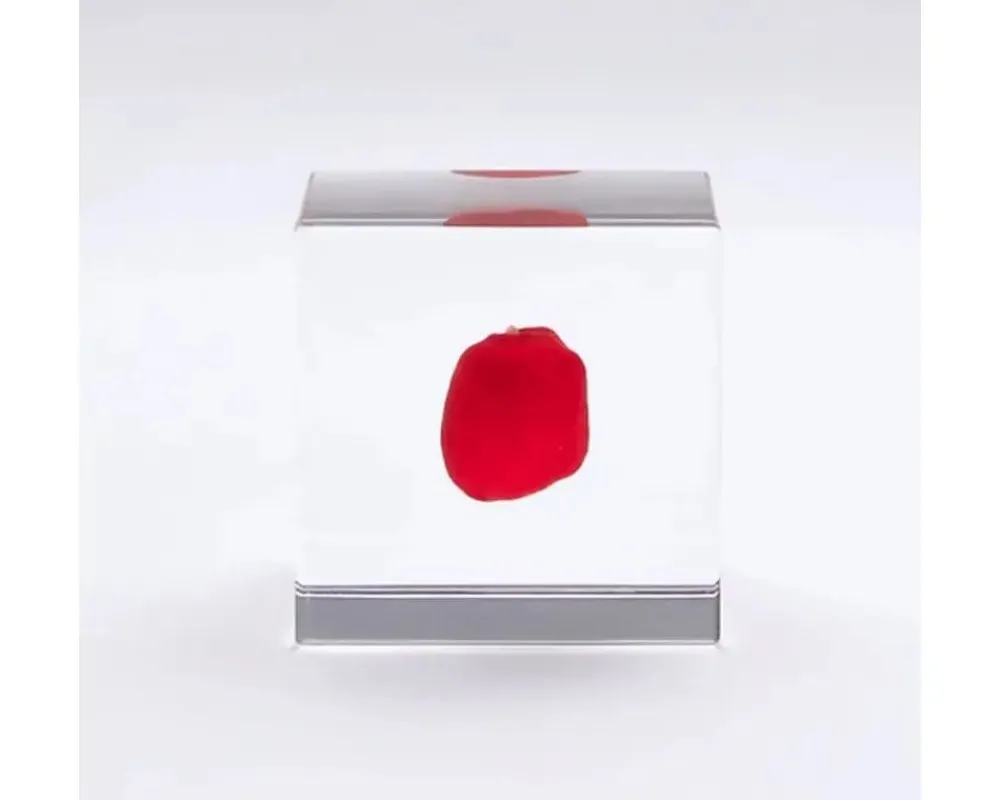sola_cube_huayruro_seed_2.webp MIYA Company Desk Accessories | Sola Cube Huayruro Seed