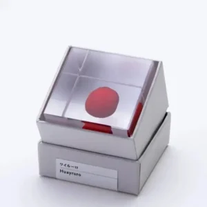 MIYA Company Desk Accessories | Sola Cube Huayruro Seed