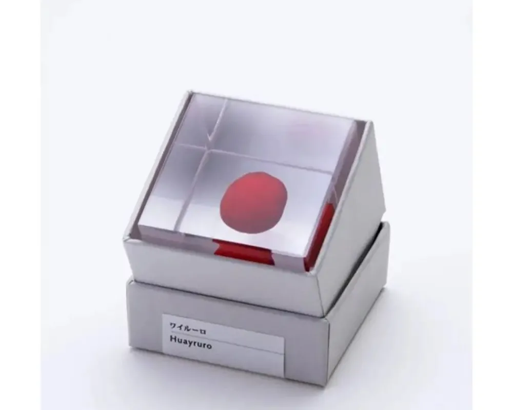 sola_cube_huayruro_seed_3.webp MIYA Company Desk Accessories | Sola Cube Huayruro Seed