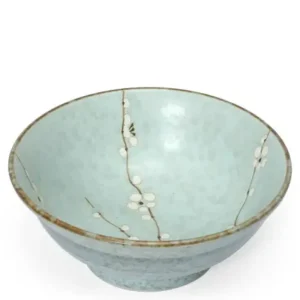 MIYA Company Ramen Bowls | Spring Blossoms 8.25" Flared Bowl