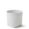 MIYA Company Teacups | Teacup Faceted White