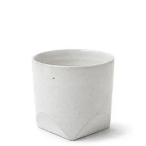 MIYA Company Teacups | Teacup Faceted White