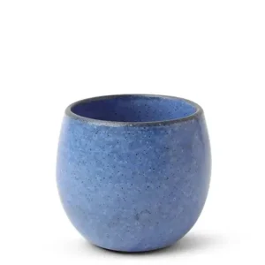 MIYA Company Teacups | Teacup Umeshu Blue