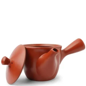 MIYA Company Teapots - Ceramic | Teapot Kyu Tokoname Red Conical