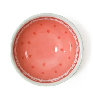 MIYA Company Bowls | Watermelon 4.25